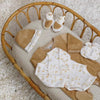 KIT NAISSANCE CARAMEL 1M 6PCS