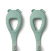 BROSSE A DENT VERTE
