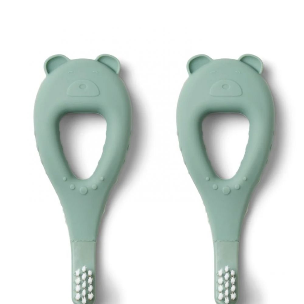 BROSSE A DENT VERTE